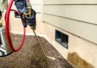 Why Is It Hard To Remove Pests In The Summer?