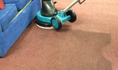 The Carpet Tasks You Definitively Need to Know