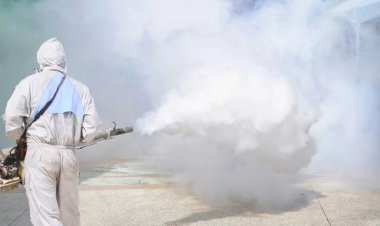 What Is Fumigation And How Does It Take Care Of Insects?