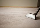 What Credentials To Check Before Choosing A Carpet Cleaning Company?
