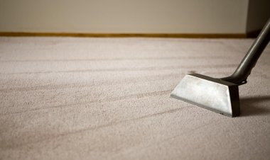 What Credentials To Check Before Choosing A Carpet Cleaning Company?