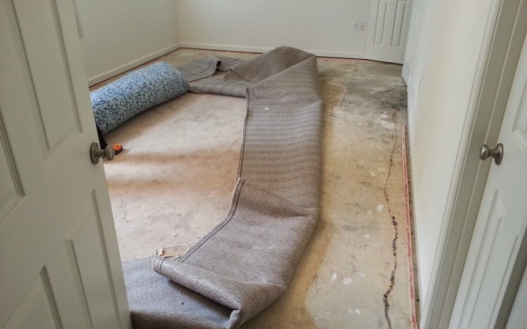 The Ultimate Guide to Water Damage Repair in 2023