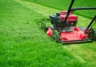 Choosing The Right Landscaping Service Provider For Your Outdoor Living Space