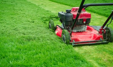 Choosing The Right Landscaping Service Provider For Your Outdoor Living Space