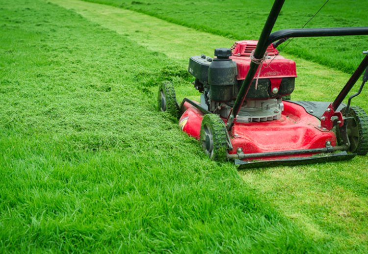 Choosing The Right Landscaping Service Provider For Your Outdoor Living Space